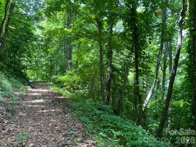 00 Utah Mountain Rd, Waynesville, NC 28785