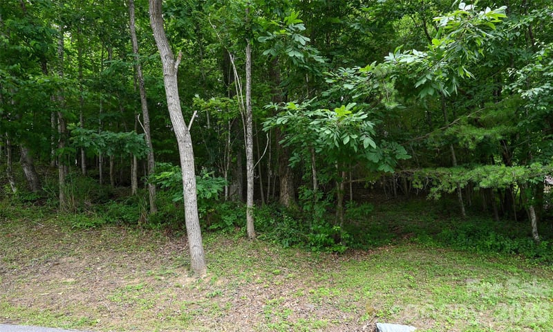 77 Carriage West Dr, Hendersonville, NC 28791