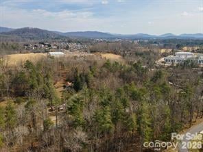 tbd Ball Gap Rd, Arden, NC 28704