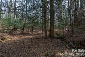 tbd Ball Gap Rd, Arden, NC 28704