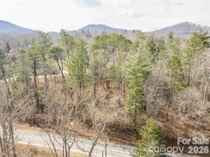 tbd Ball Gap Rd, Arden, NC 28704