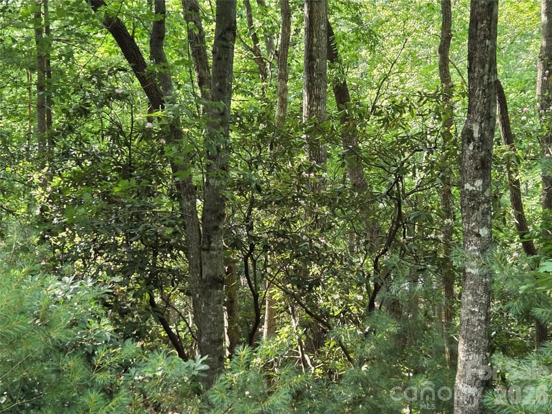27 Dividing Ridge Trl #14, Arden, NC 28704