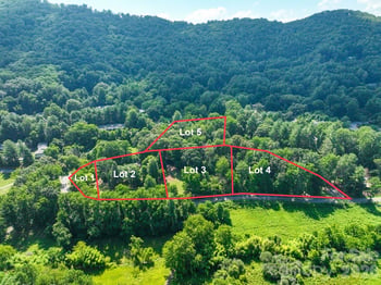 379 Chunns Cove Rd, Asheville, NC 28805