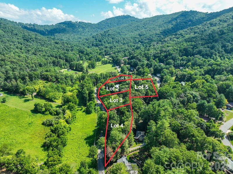 353 Chunns Cove Rd, Asheville, NC 28805