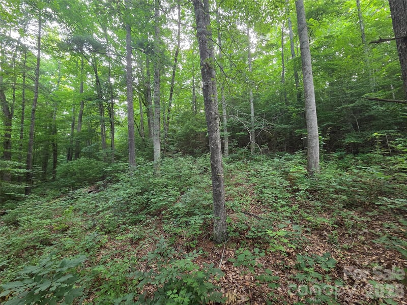 16 Courseview Dr, Weaverville, NC 28787