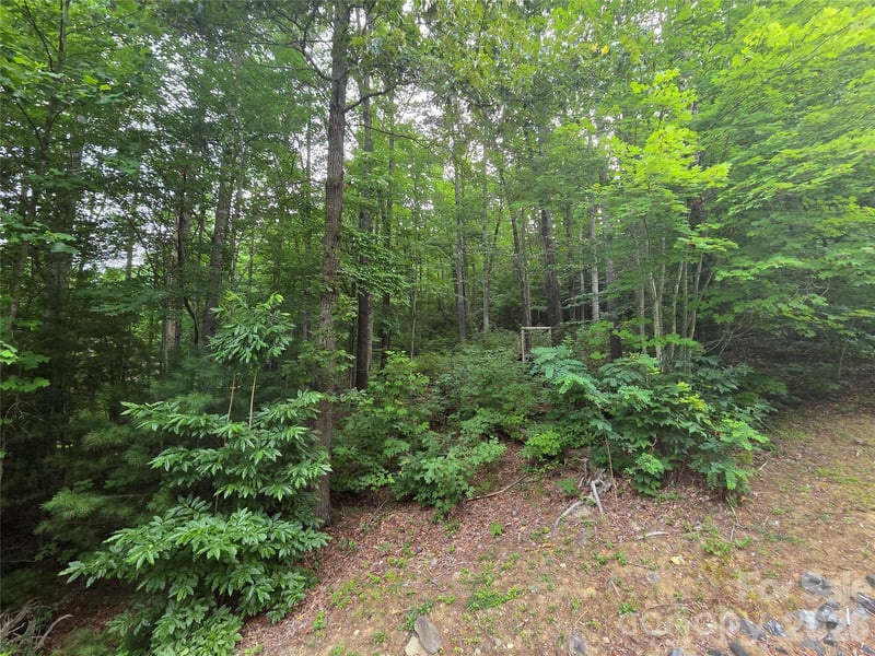 16 Courseview Dr, Weaverville, NC 28787