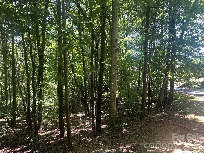 Knoll Ct, Lake Lure, NC 28746