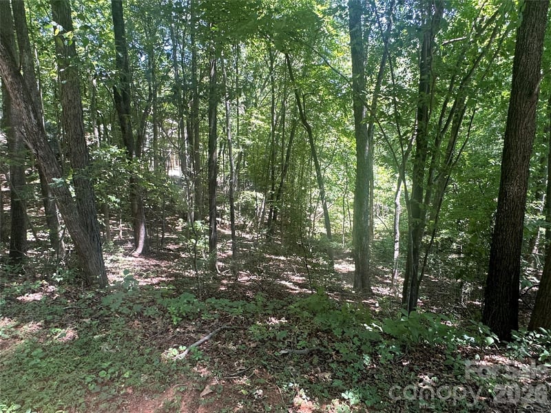 Knoll Ct, Lake Lure, NC 28746