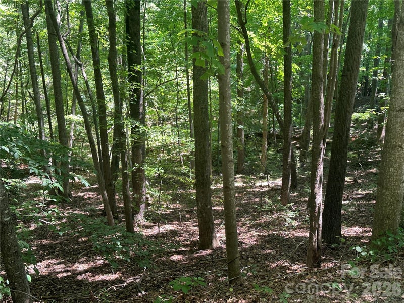 Knoll Ct, Lake Lure, NC 28746