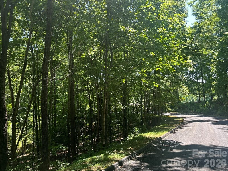 Knoll Ct, Lake Lure, NC 28746