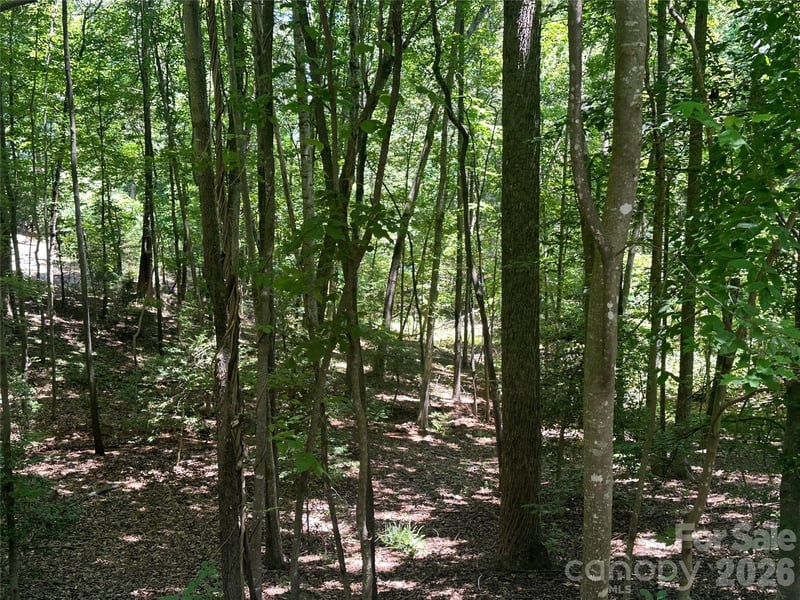 Knoll Ct, Lake Lure, NC 28746
