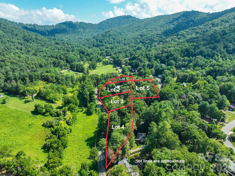 99999 Chunns Cove Rd, Asheville, NC 28805