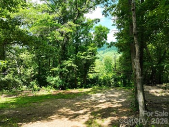 99999 Chunns Cove Rd, Asheville, NC 28805