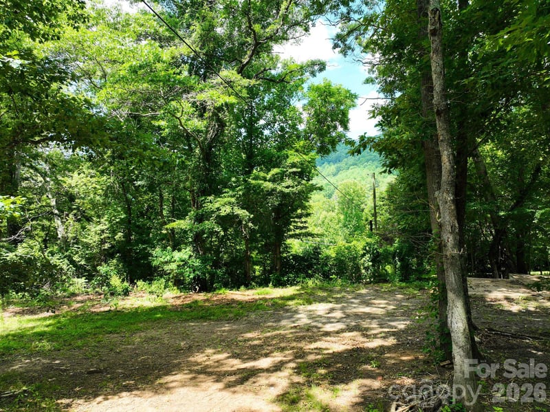99999 Chunns Cove Rd, Asheville, NC 28805
