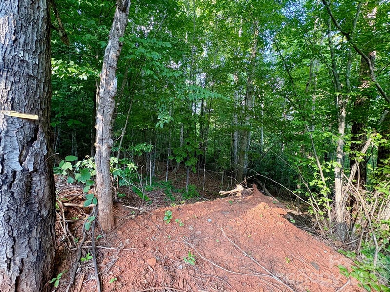 289 Champange Rg, Lake Lure, NC 28746