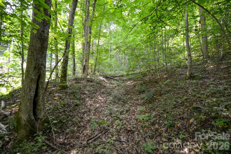 Board Tree Rd #1, Marshall, NC 28753