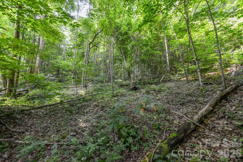 Board Tree Rd #1, Marshall, NC 28753