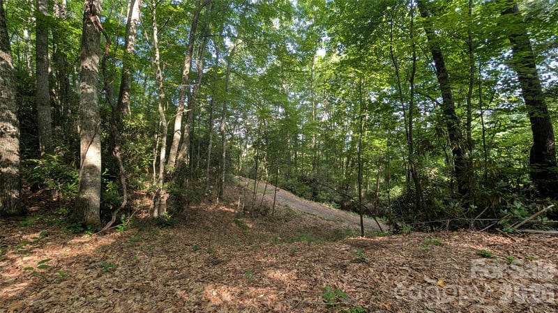 00 Chestnut Walk #3,4,5, Waynesville, NC 28786