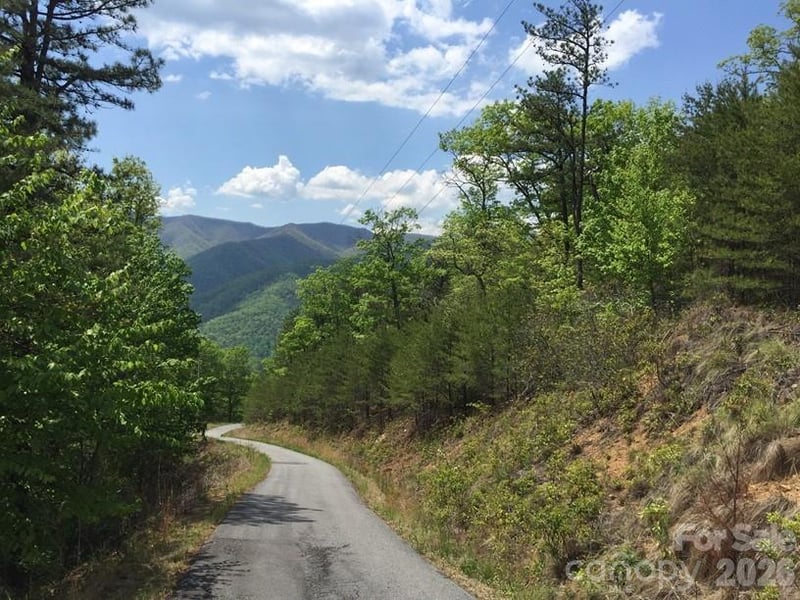 225 Lucerne Dr, Canton, NC 28716