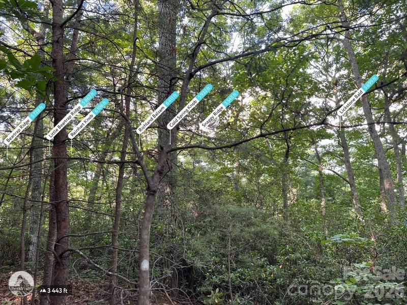 225 Lucerne Dr, Canton, NC 28716