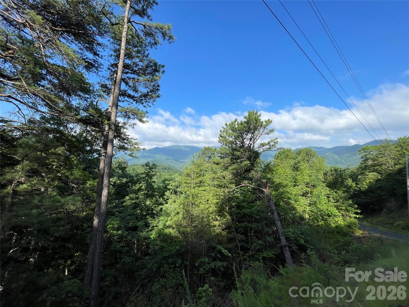 225 Lucerne Dr, Canton, NC 28716
