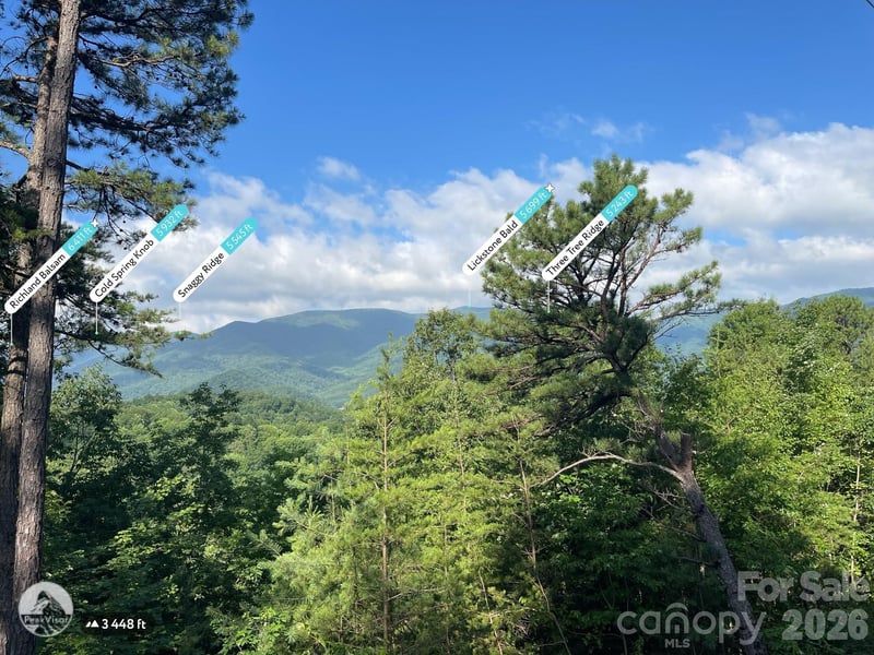 225 Lucerne Dr, Canton, NC 28716