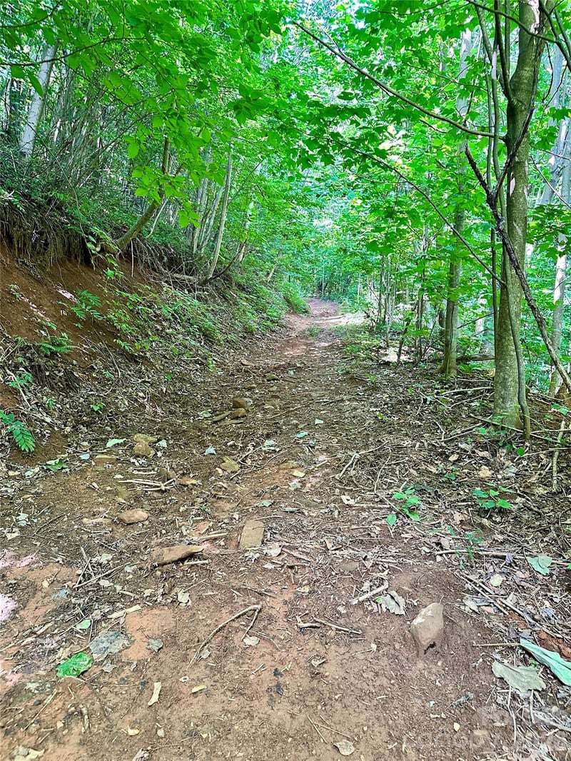 75 Fork Creek Rd, Saluda, NC 28773