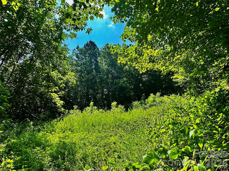 75 Fork Creek Rd, Saluda, NC 28773