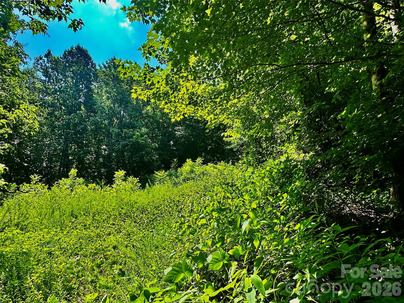 75 Fork Creek Rd, Saluda, NC 28773