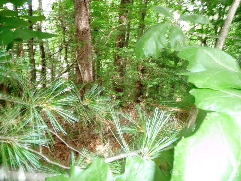 360 Kenmure Dr #4, Flat Rock, NC 28731