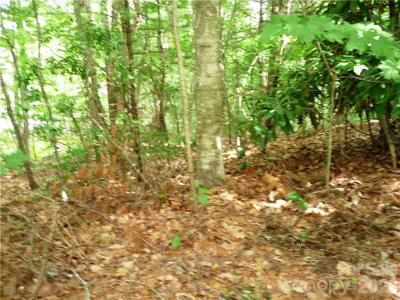 360 Kenmure Dr #4, Flat Rock, NC 28731