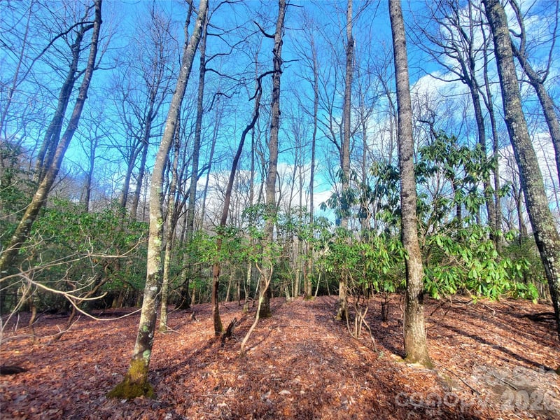 TBD Skye Dr #803a & 803b, Pisgah Forest, NC 28768