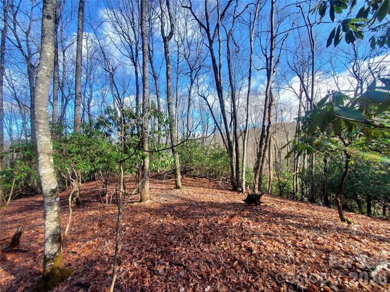 TBD Skye Dr #803a & 803b, Pisgah Forest, NC 28768