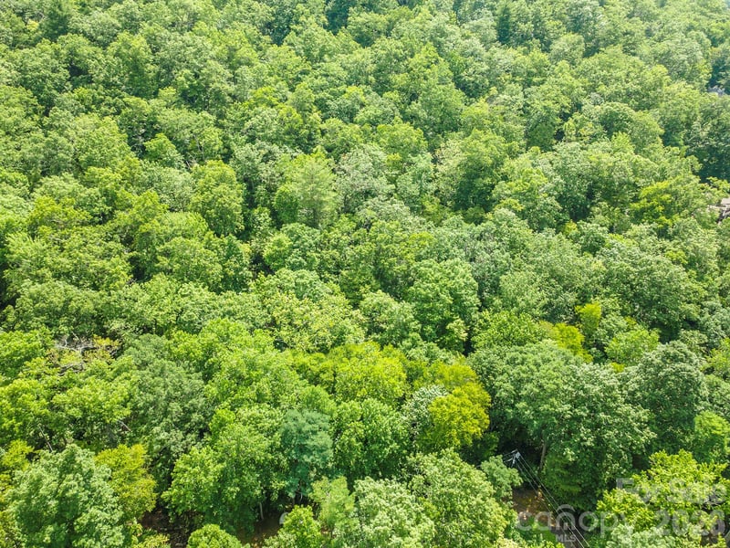 212 Harmony Ln, Montreat, NC 28757