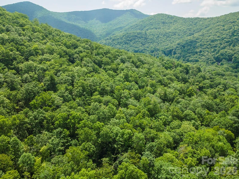 212 Harmony Ln, Montreat, NC 28757