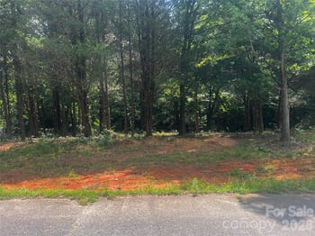 10376 Turnplow Dr #9, Davidson, NC 28036