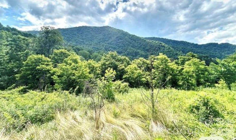 00 Split Pine Cv, Clyde, NC 28721