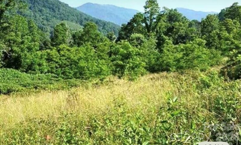 00 Split Pine Cv, Clyde, NC 28721