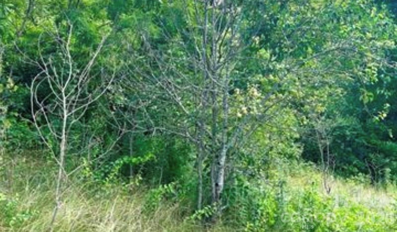 00 Split Pine Cv, Clyde, NC 28721