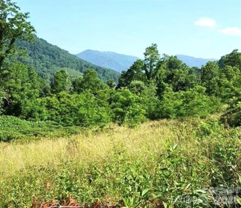 00 Split Pine Cv, Clyde, NC 28721