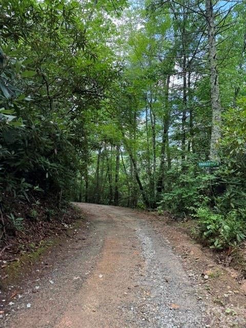 0000 Charles Trl, Hendersonville, NC 28792