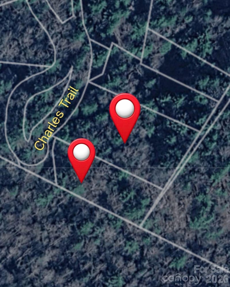 0000 Charles Trl, Hendersonville, NC 28792