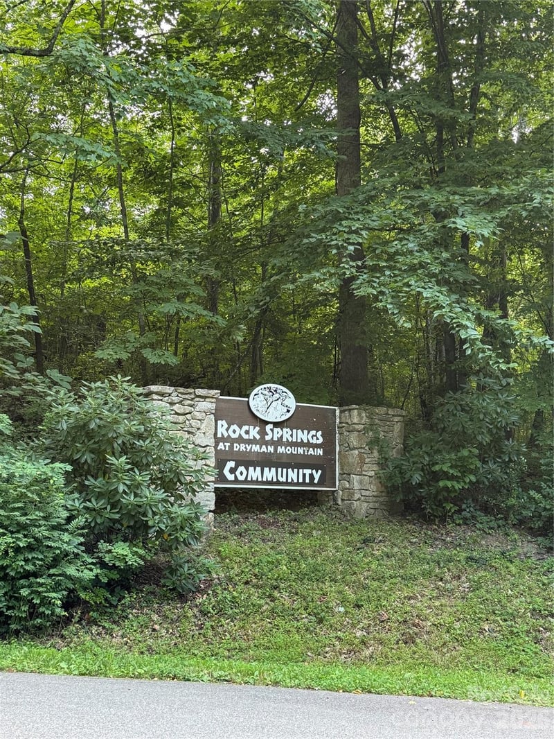 65 Forest Spring Dr, Asheville, NC 28804
