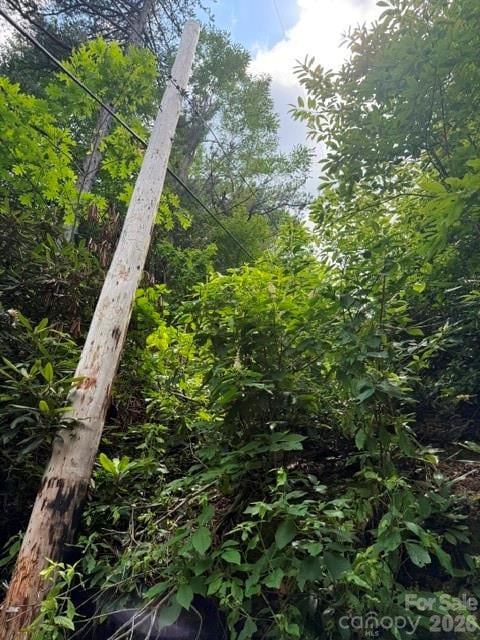 99999 Nc 9 Hw, Black Mountain, NC 28711