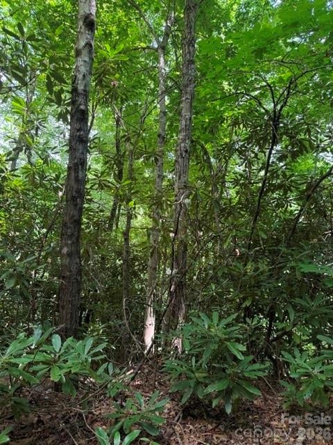99999 Nc 9 Hw, Black Mountain, NC 28711