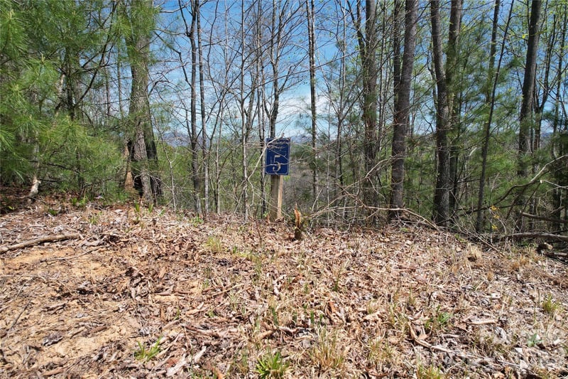 High Peak Dr #5, Burnsville, NC 28714
