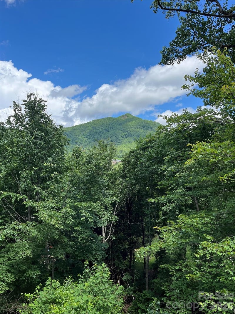 93 Village Pointe Ln, Asheville, NC 28803