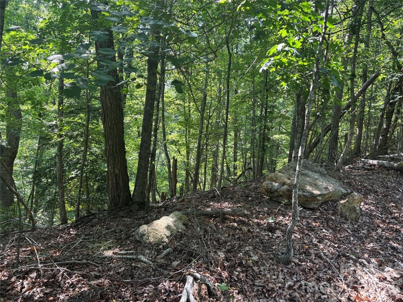Lot 13 Crab Apple Ct, Lake Lure, NC 28746