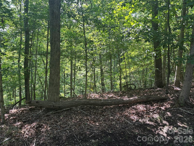 Lot 13 Crab Apple Ct, Lake Lure, NC 28746