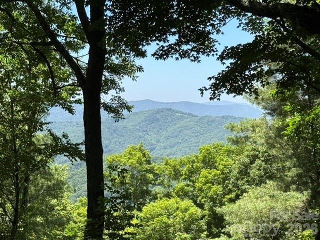 1209 Mckinney Gap Dr, Mars Hill, NC 28754